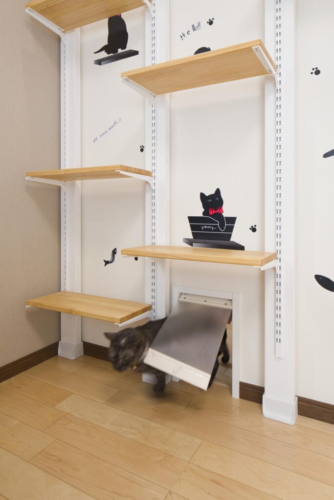 猫ちゃんの遊び場!可動式のキャットウォーク。猫目線をとことん 追求した仕様が嬉しい!