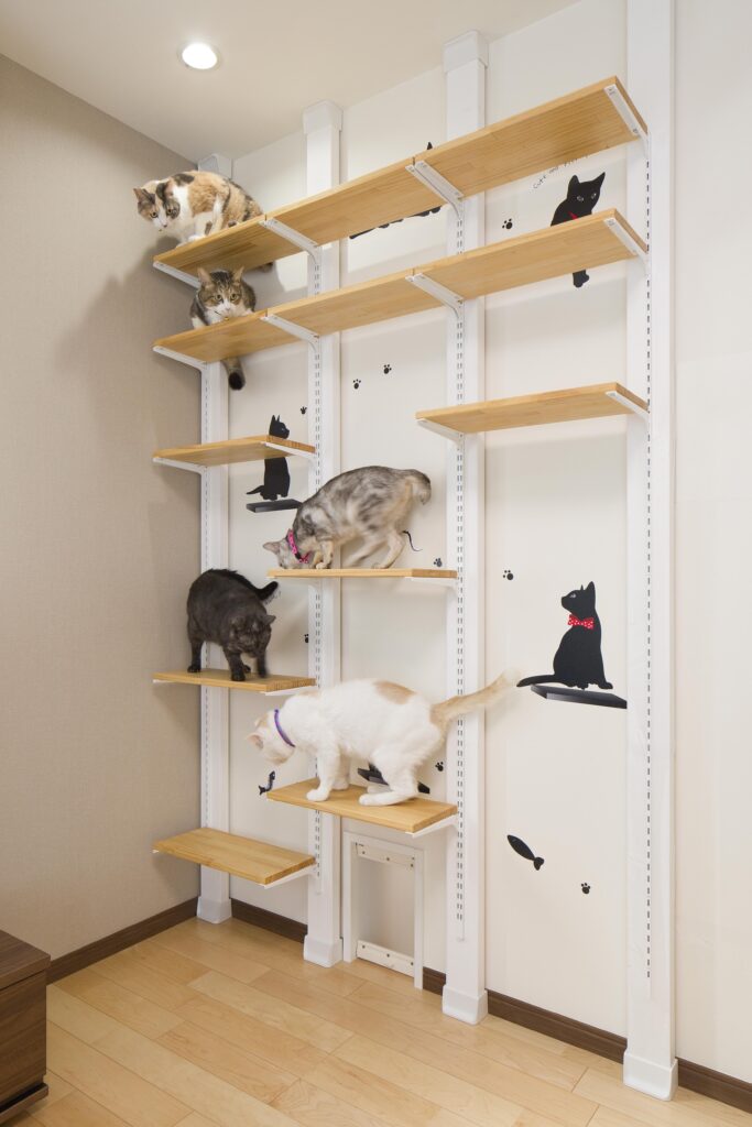 猫ちゃんの遊び場!可動式のキャットウォーク。猫目線をとことん 追求した仕様が嬉しい!