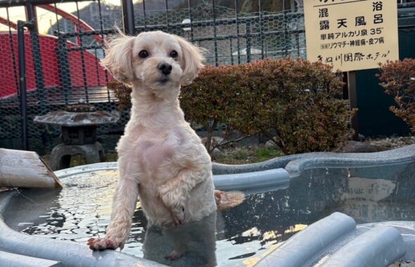 住宅リフォーム等ブログ7173